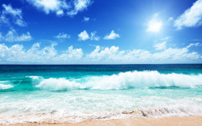 How to Identify, Avoid, & Escape a RIP Current