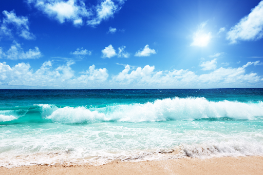 How to Identify, Avoid, & Escape a RIP Current