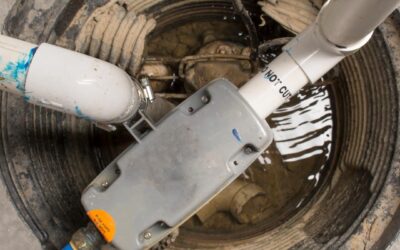 Why Water Backup Coverage is the Best $50 You’ll Ever Spend